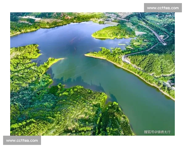 以生态增强为引领推动人与自然和谐共生的高质量发展新路径探索