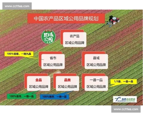 以目标完成为中心推进重点任务落地实现高质量成果交付行动方案